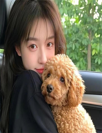 索命牙仙有什么特别之处？独特看点与特色解析